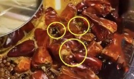 火锅店真实爆料视频大全,真实爆料视频大全大揭秘